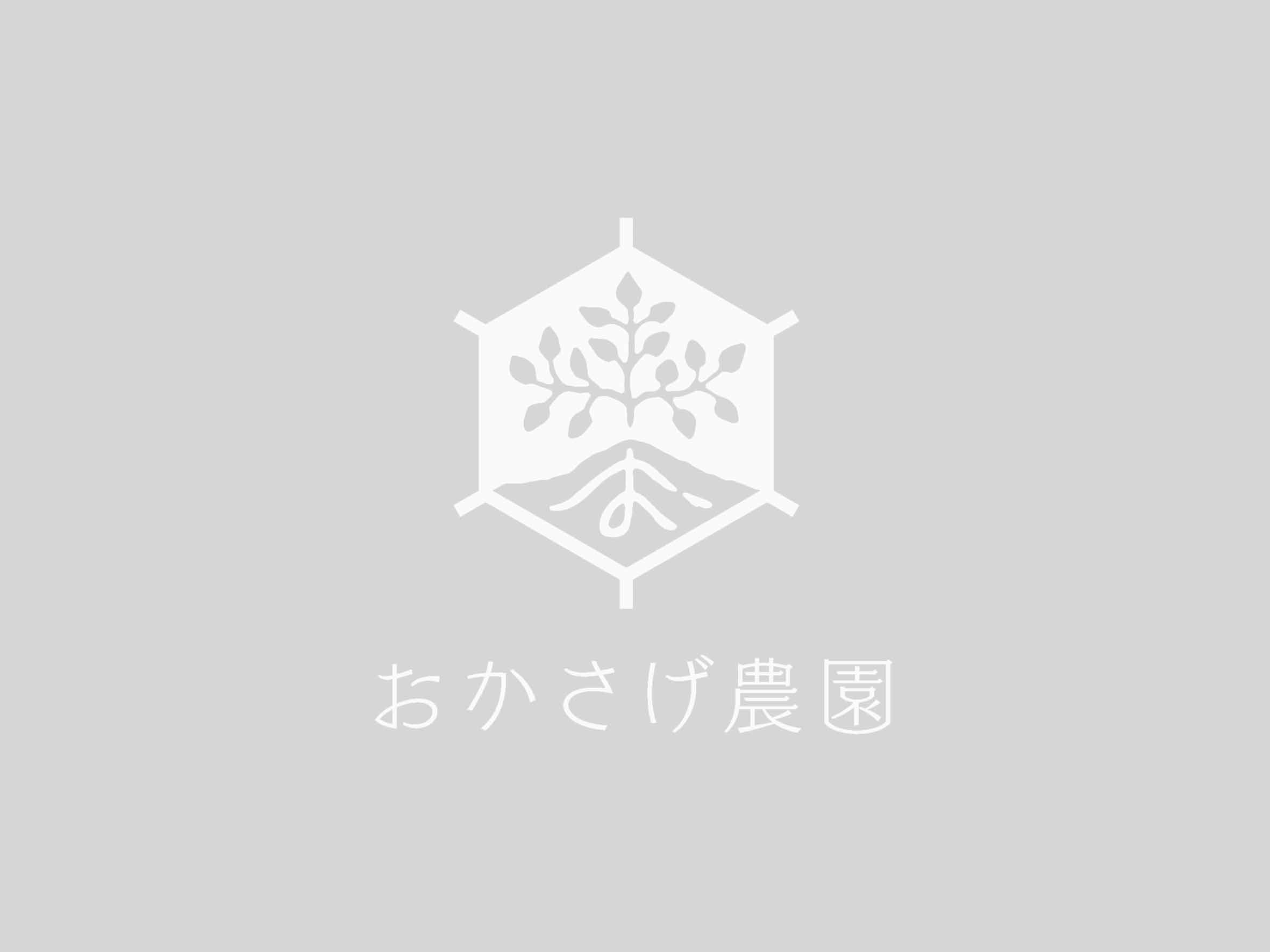 画像なし